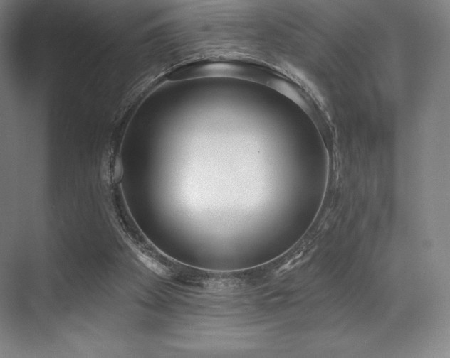 X0000071940105200607071154