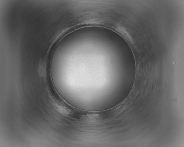 X0000071940108200607071154