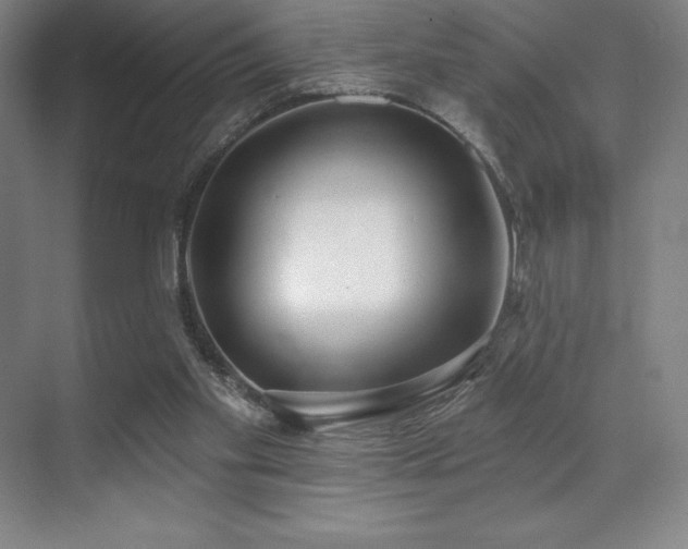 X0000071940109200607071154