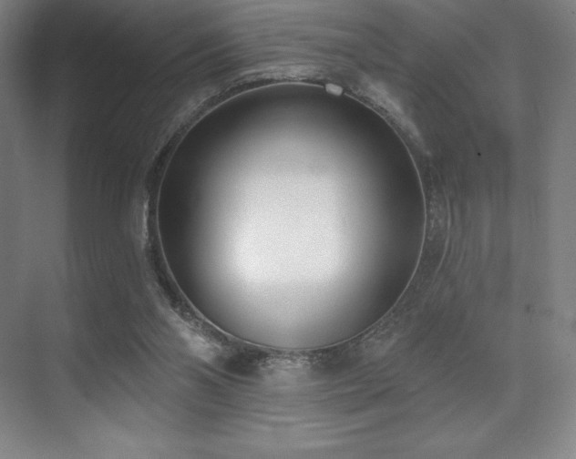 X0000071940110200607071154