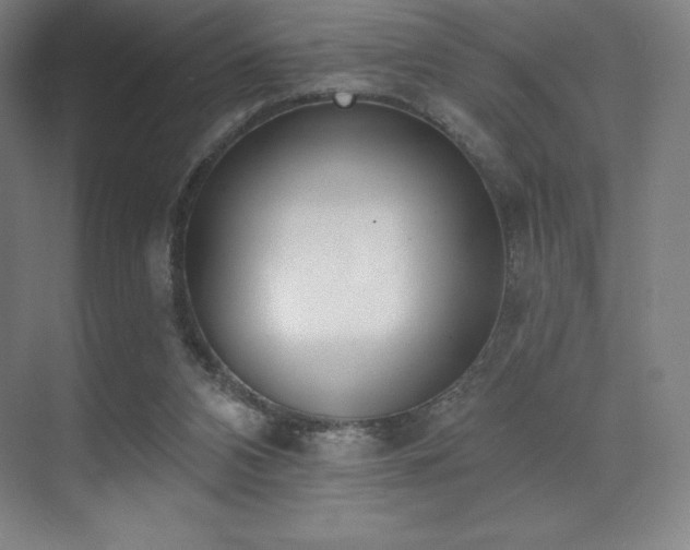 X0000071940112200607071154