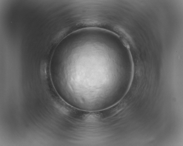 X0000071940115200607071154