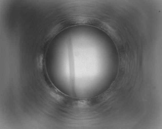 X0000071940118200607071154