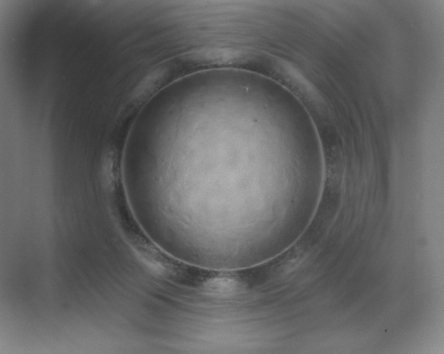 X0000071940119200607071154