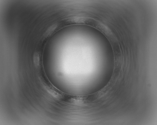 X0000071940120200607071154