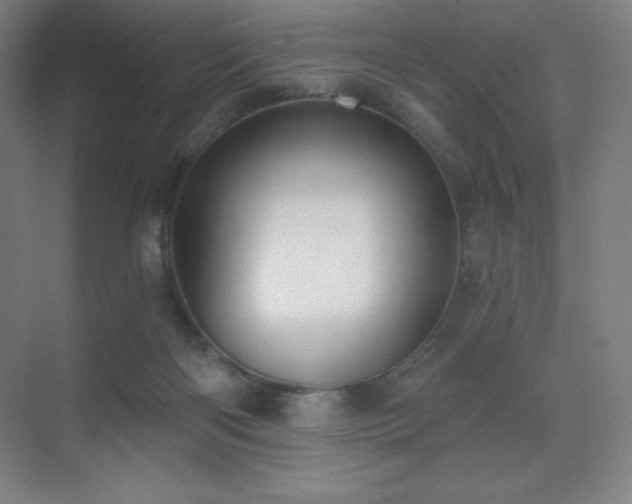X0000071940122200607071154