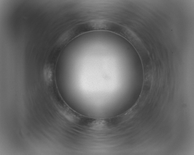 X0000071940124200607071154
