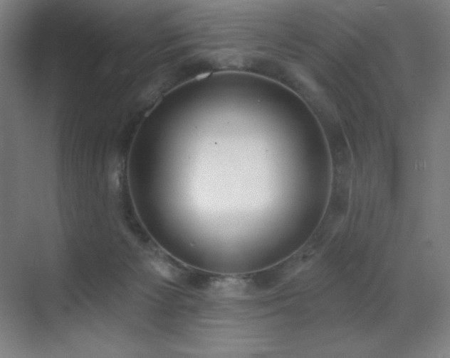 X0000071940125200607071154