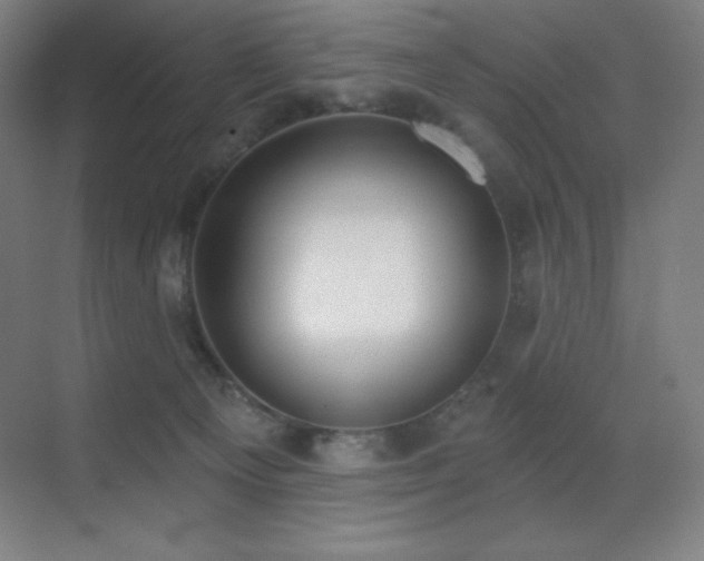 X0000071940129200607071154