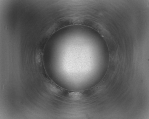 X0000071940133200607071154