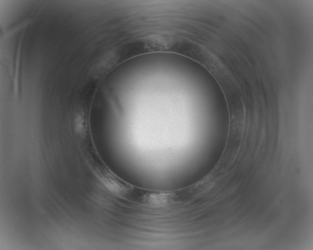 X0000071940134200607071154