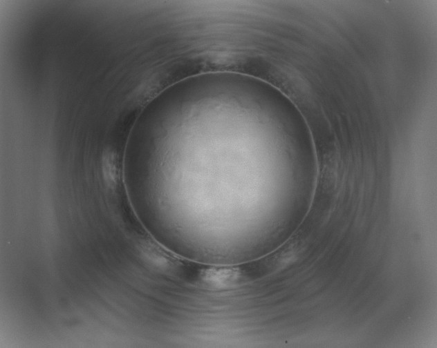 X0000071940135200607071154