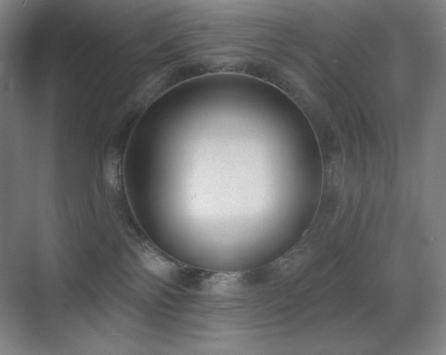 X0000071940138200607071154