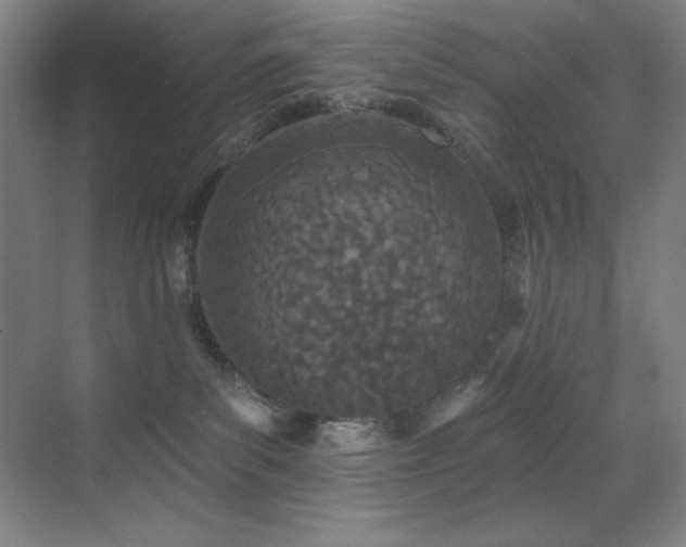 X0000071940139200607071154