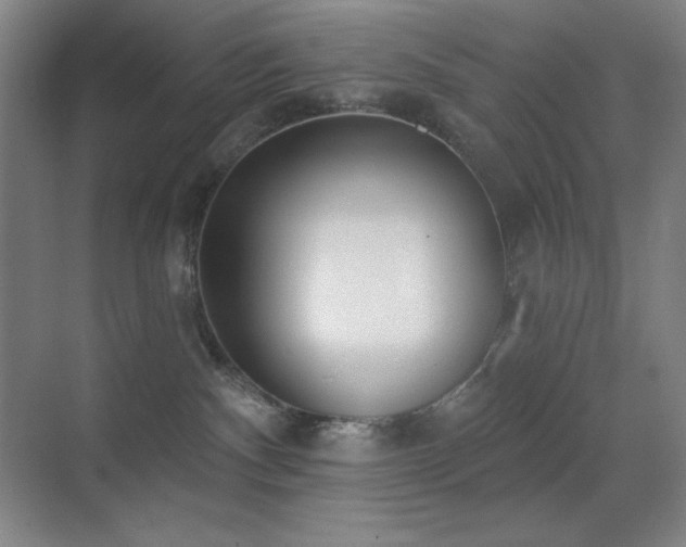 X0000071940140200607071154