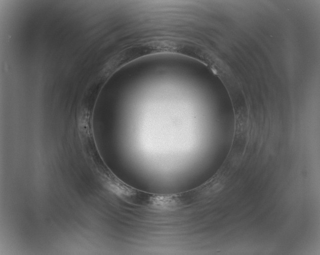 X0000071940141200607071154