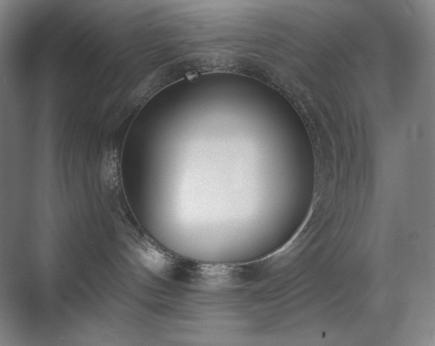 X0000071940144200607071154