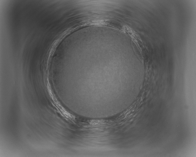 X0000071940145200607071153