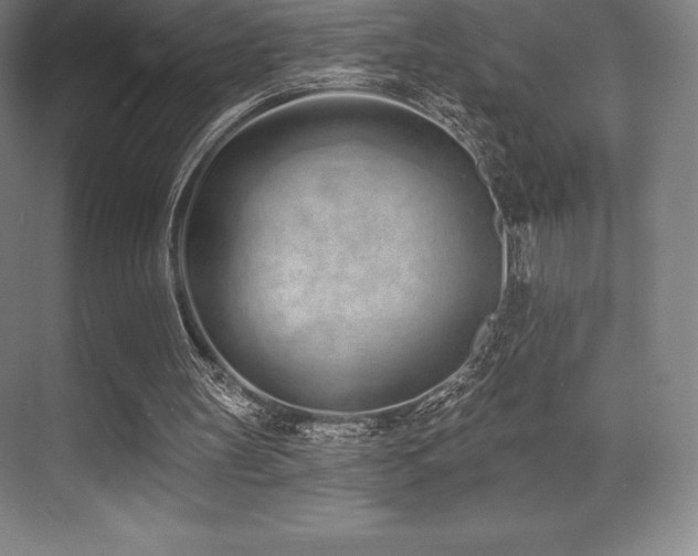 X0000071940147200607071153