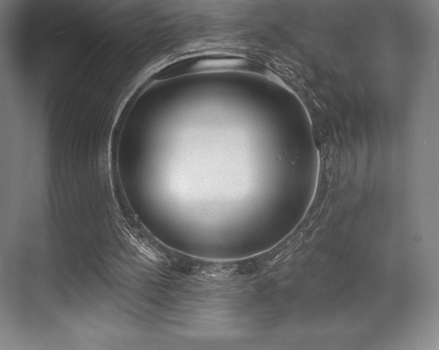 X0000071940148200607071153