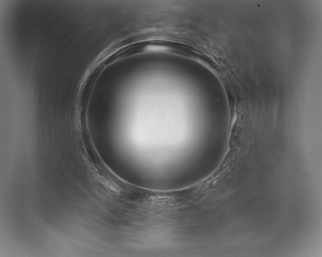 X0000071940150200607071153