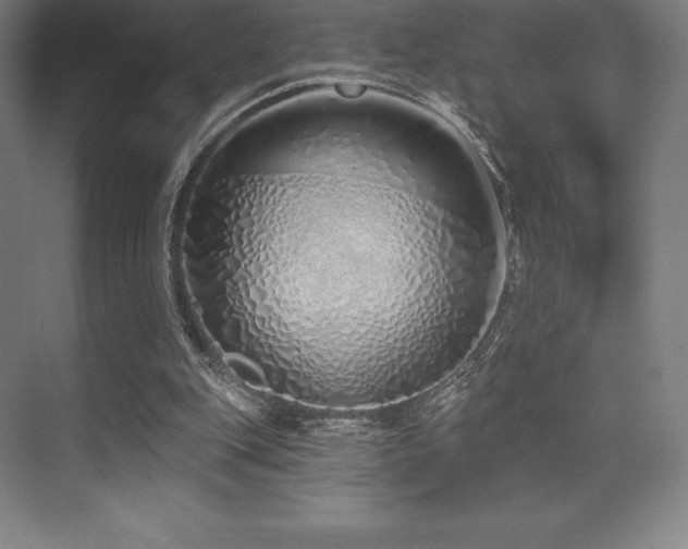 X0000071940151200607071153