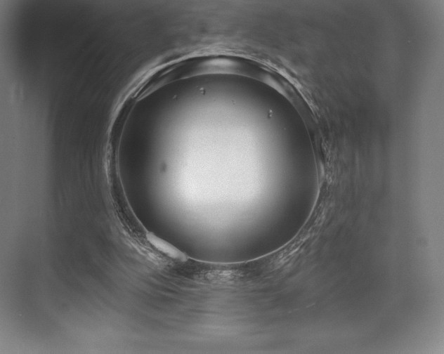 X0000071940152200607071153