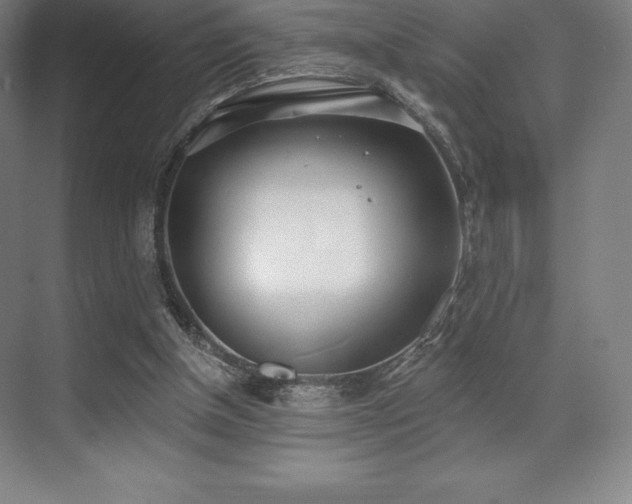 X0000071940154200607071153