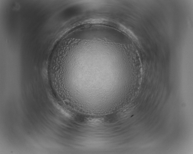 X0000071940155200607071153