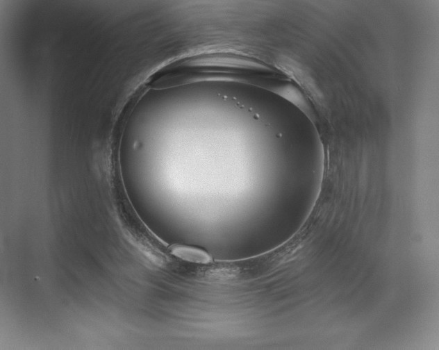 X0000071940156200607071153