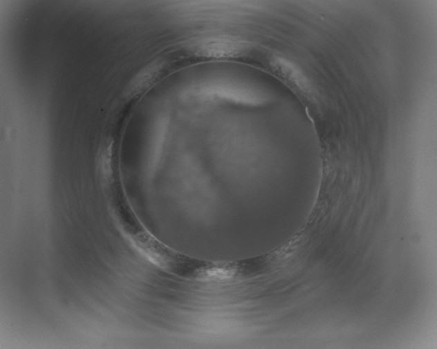 X0000071940163200607071153