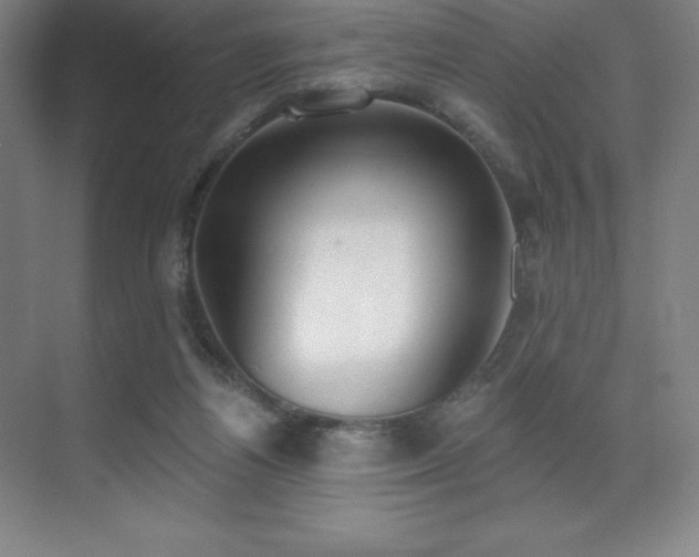 X0000071940164200607071153