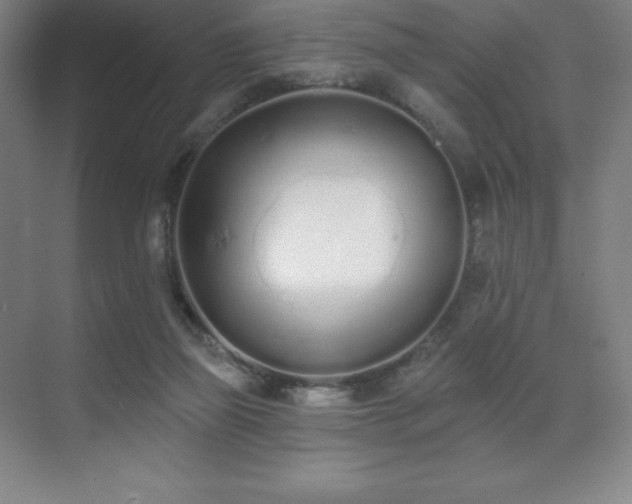X0000071940165200607071153
