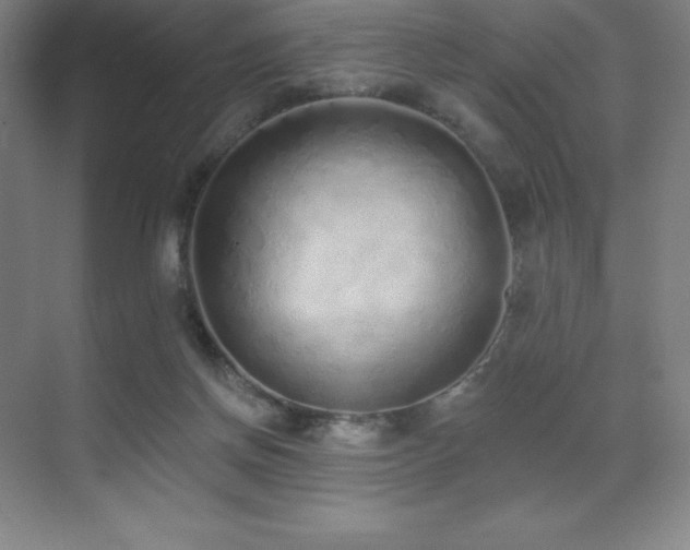 X0000071940166200607071153