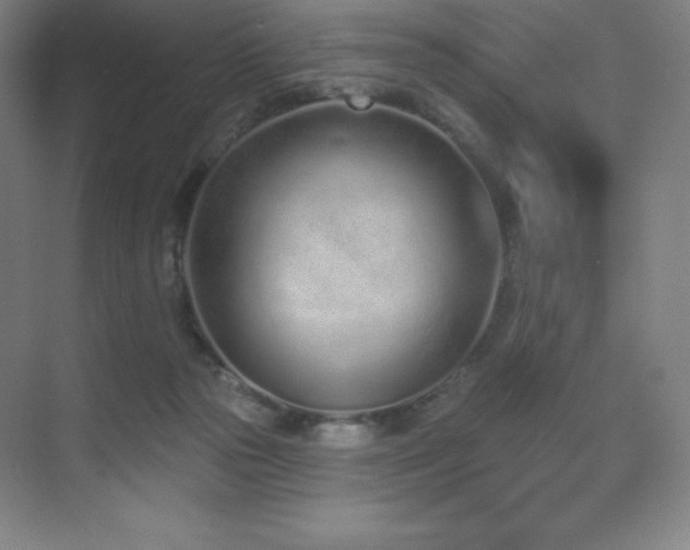 X0000071940169200607071153