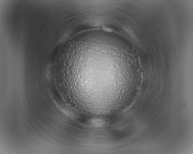 X0000071940171200607071153
