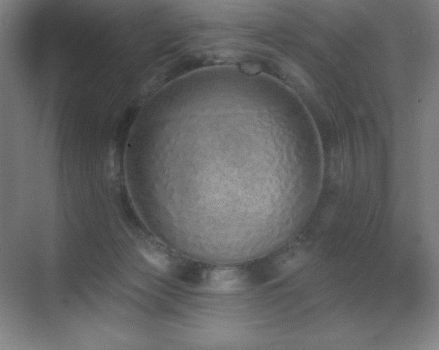 X0000071940173200607071153