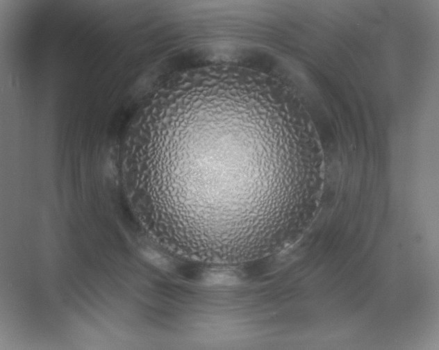 X0000071940175200607071153