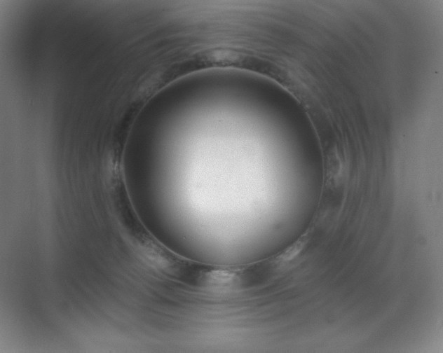 X0000071940176200607071153