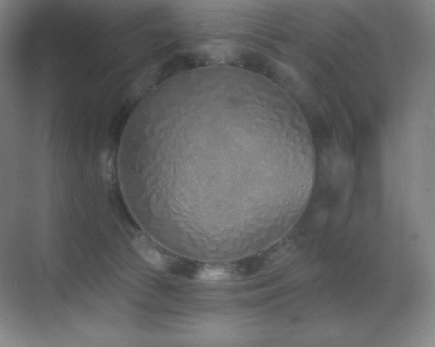 X0000071940177200607071153