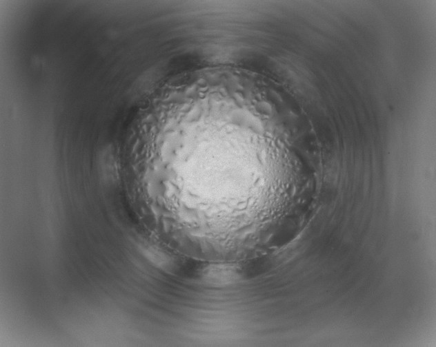 X0000071940179200607071153