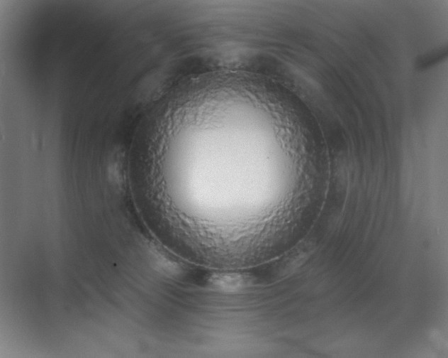 X0000071940181200607071153