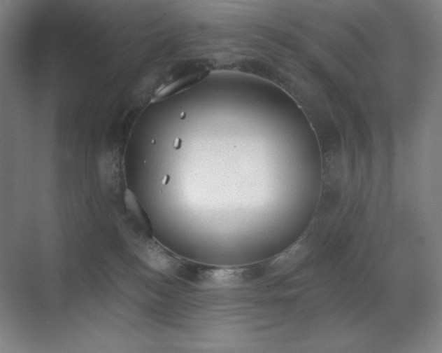 X0000071940184200607071153