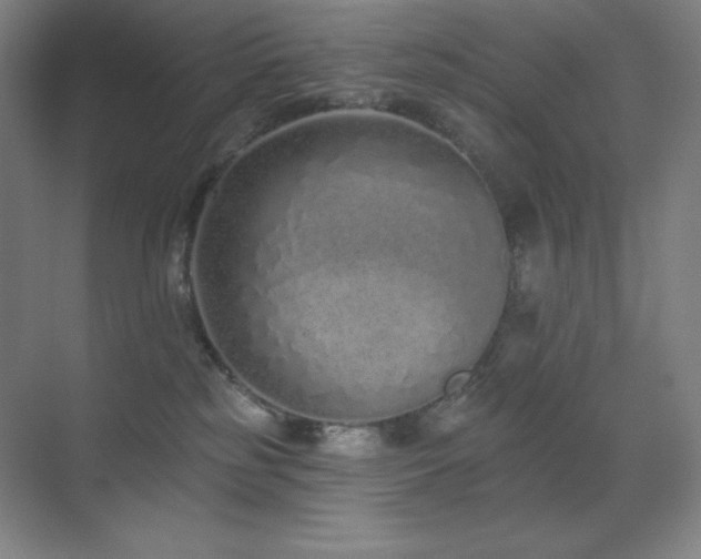 X0000071940185200607071153