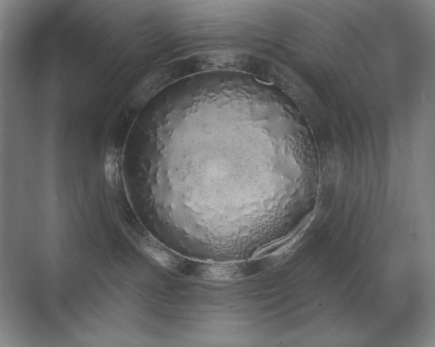 X0000071940191200607071154