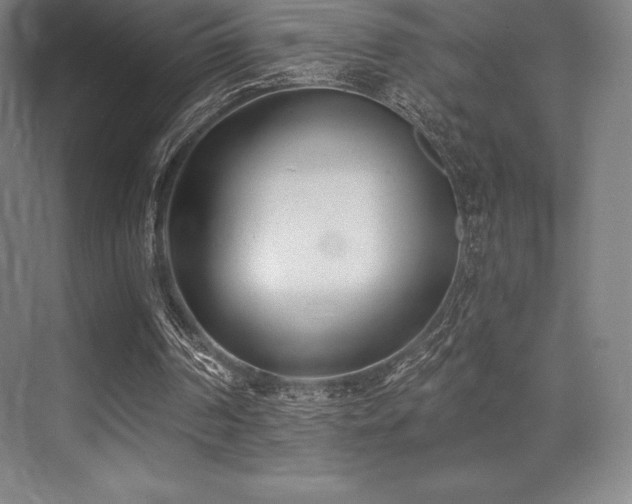 X0000071940194200607071153