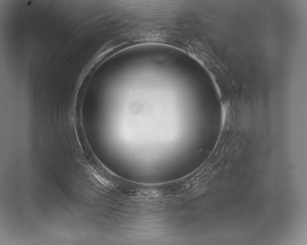 X0000071940195200607071153