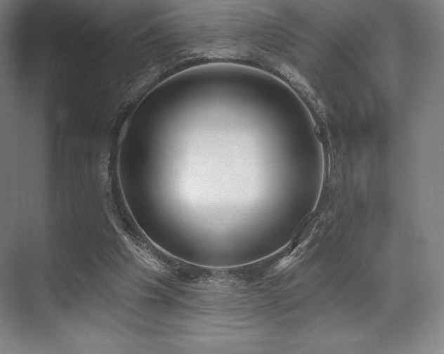 X0000071940201200607071153