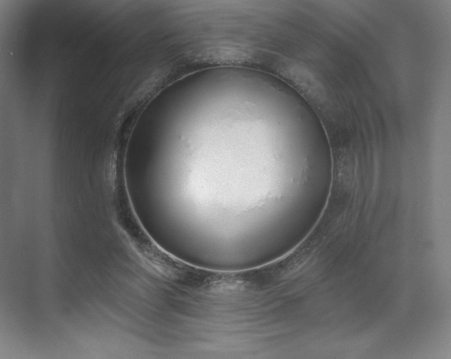 X0000071940206200607071153