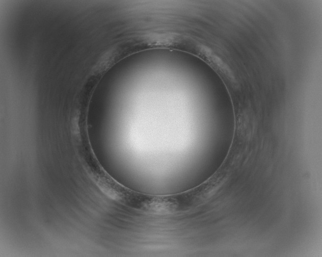 X0000071940209200607071153